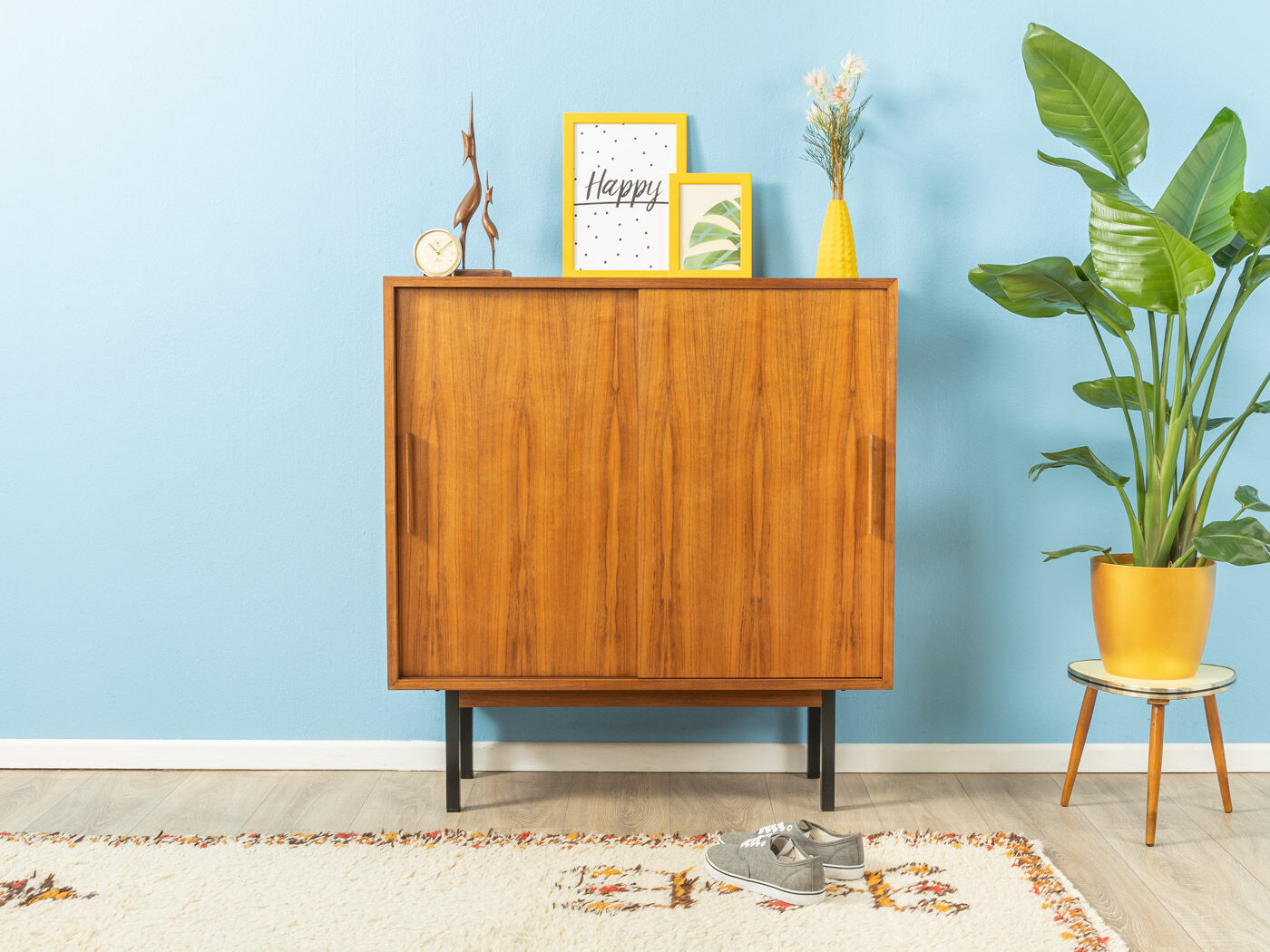 1960s shoe cabinet