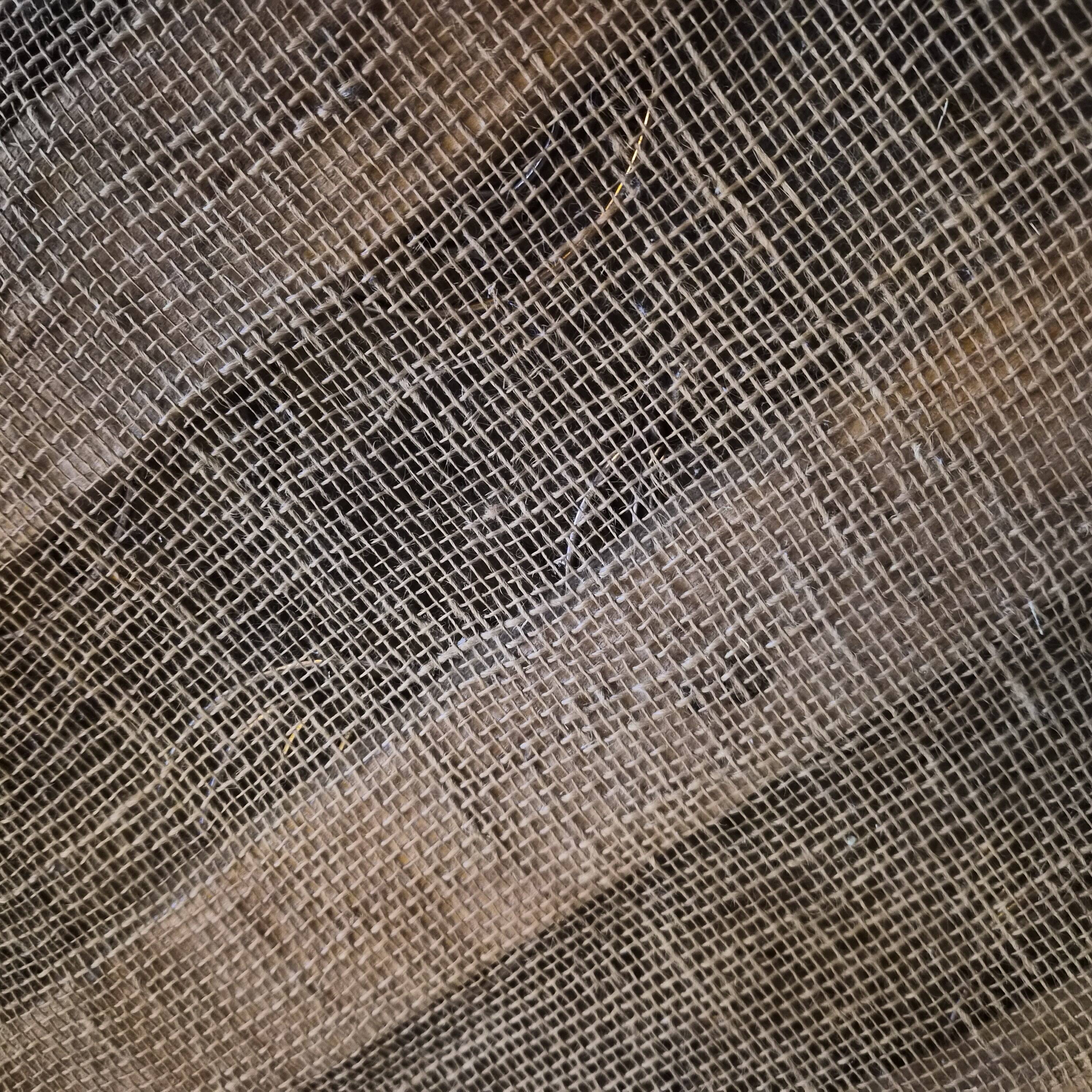 Pair of vintage 1950s armchairs with compass legs