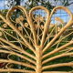 Peacock double rattan headboard