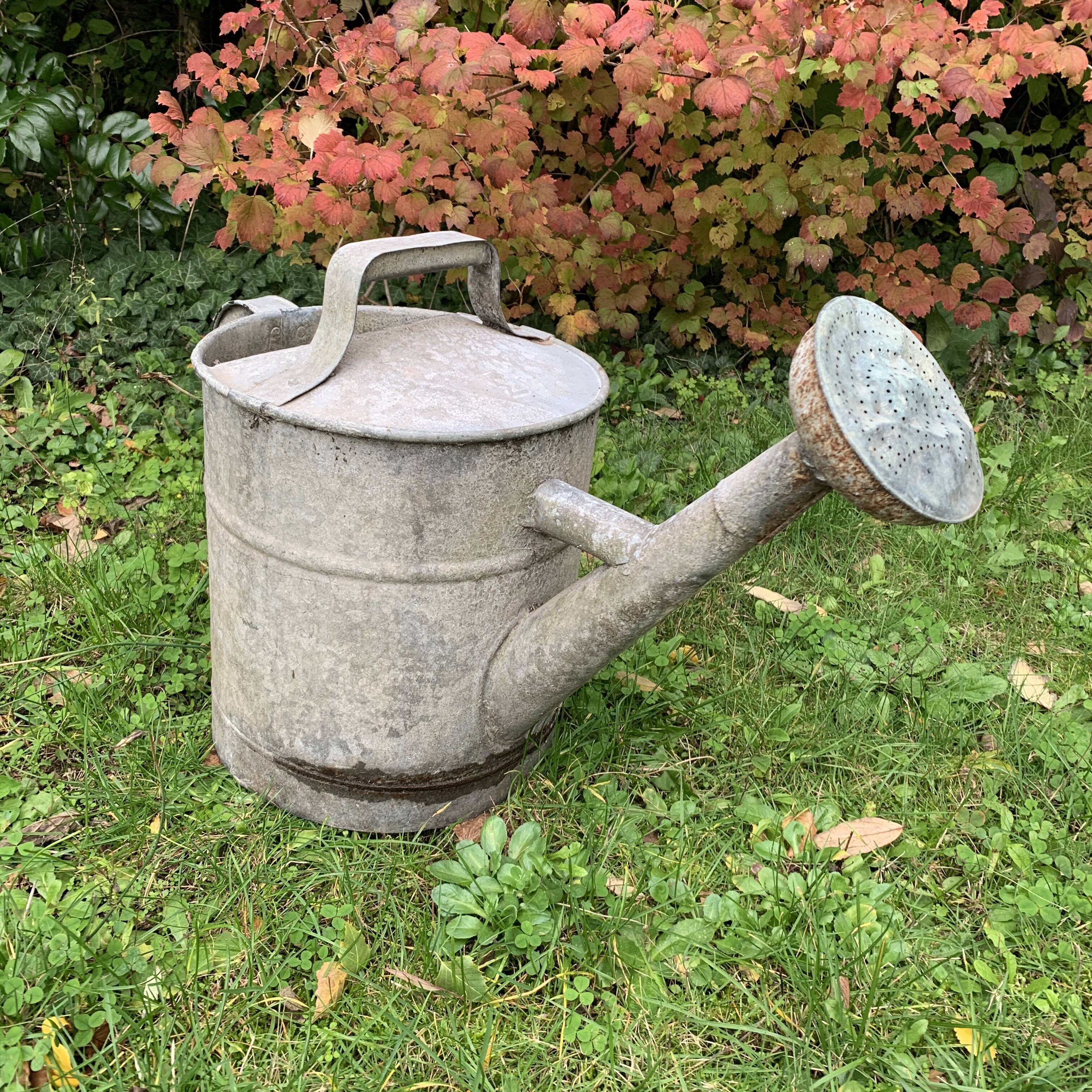 Zinc watering can