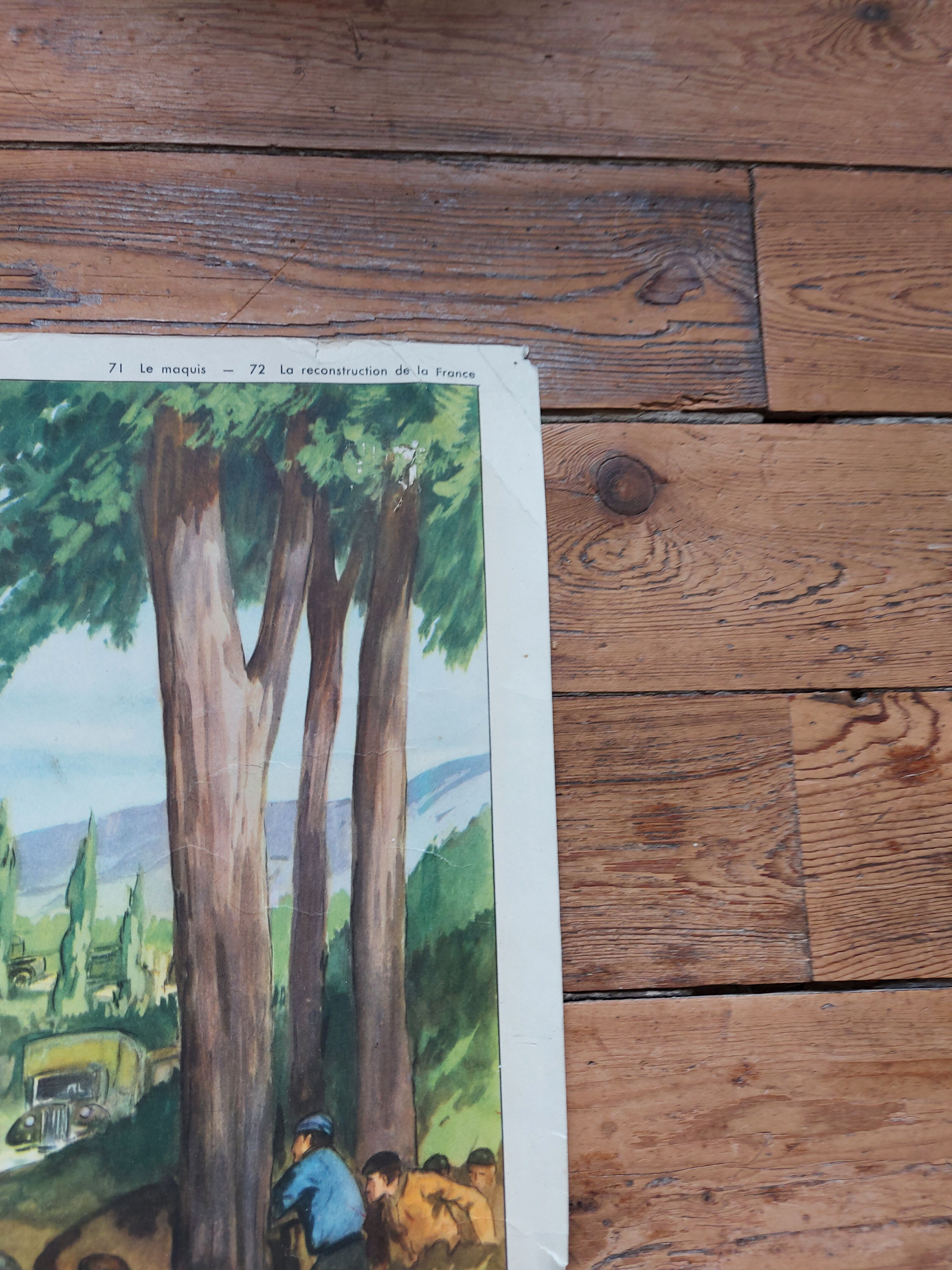 Rossignol / montmorillon educational poster