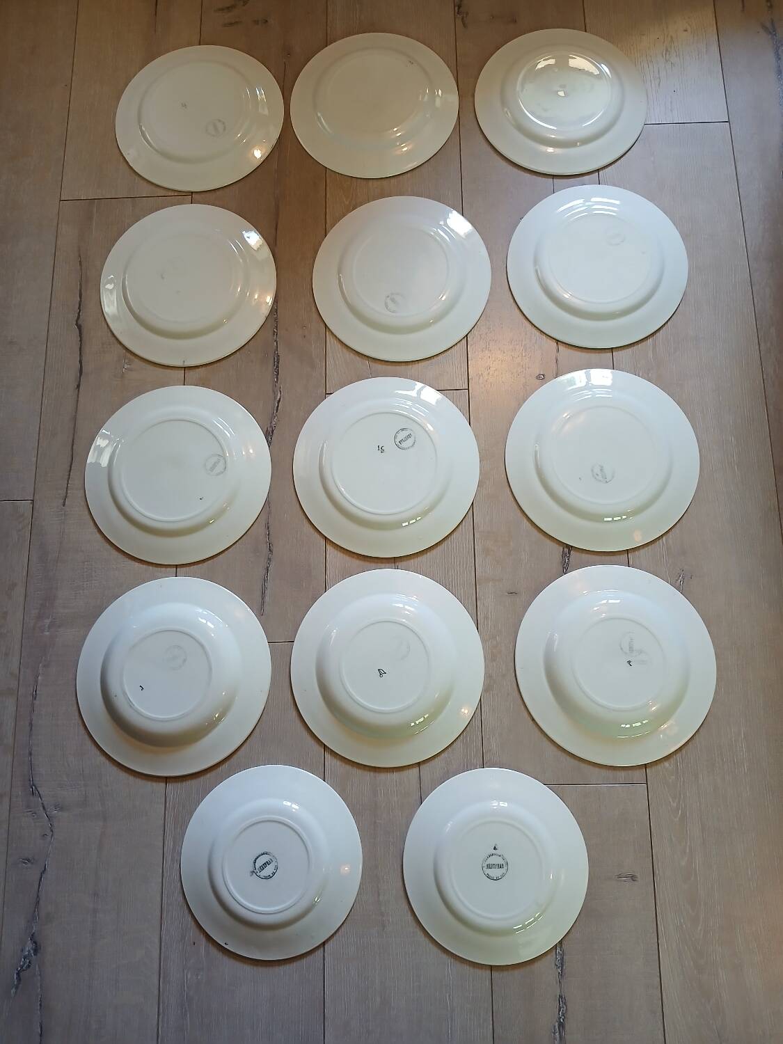 14 Terre de fer SALINS "Water Lily" plates