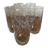 6 old engraved water or orangeade glasses