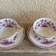 Limoges porcelain coffee service from Haviland, Tree model