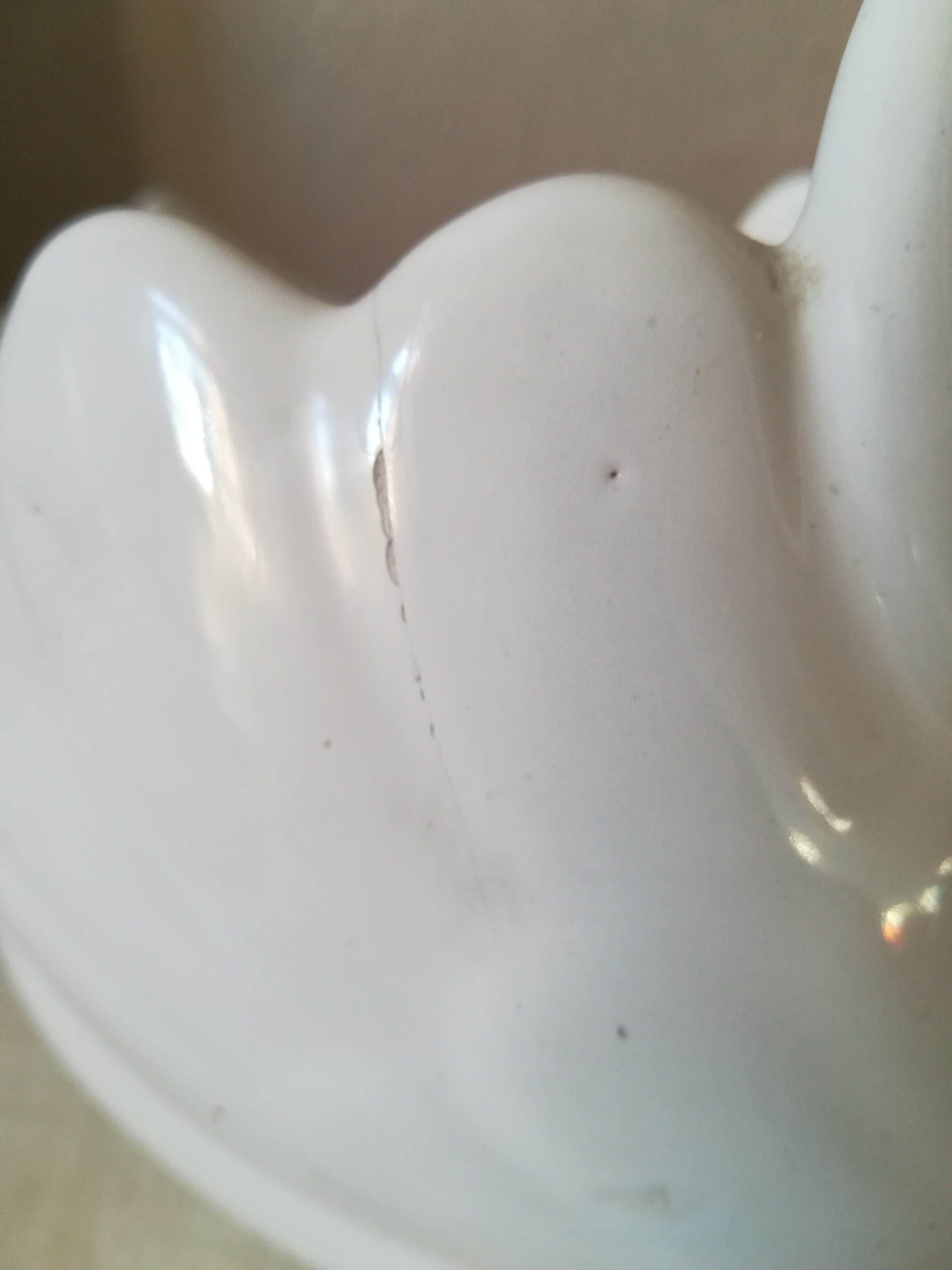 Empty swan pocket in earthenware