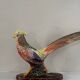 Art Deco ceramic pheasant by Lucien Alliot