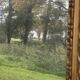 Large antique gilded mirror, wood and stucco gadroons, partially de-mercury