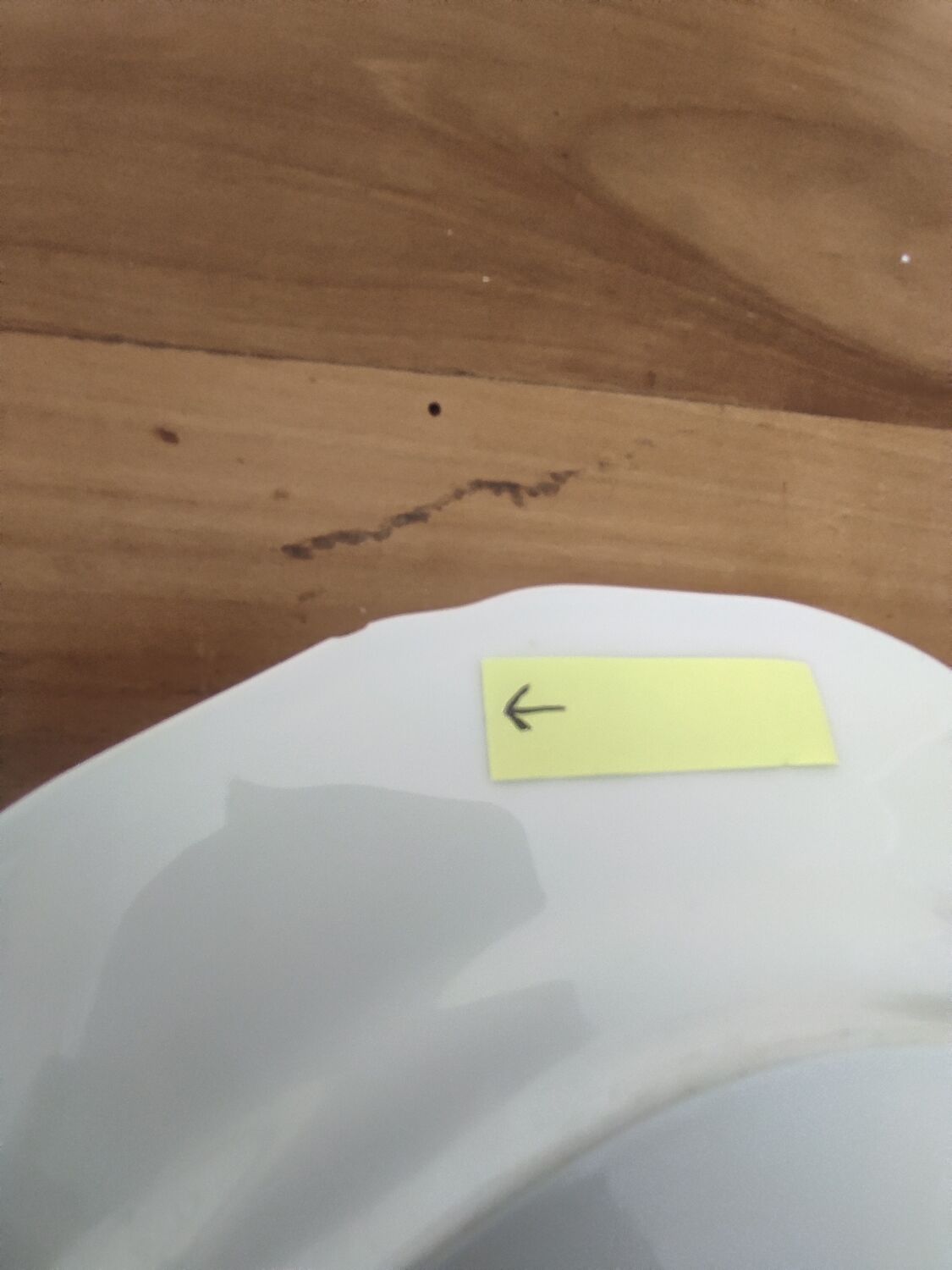 Set of 6 Limoges porcelain dinner plates by Deshoulières