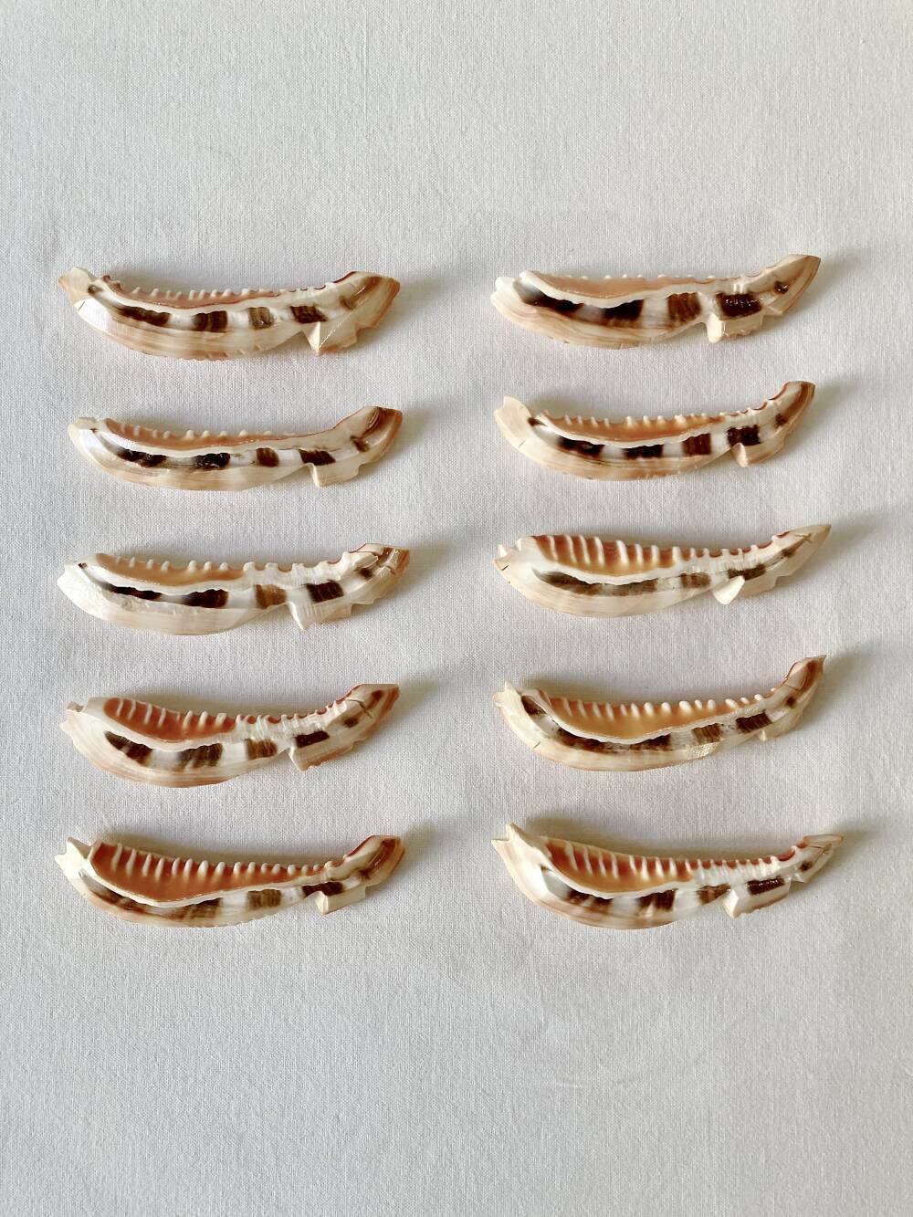 10 fish-shaped knife holders