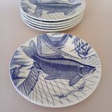 6 assiettes plates anglaises Ironstone Tableware