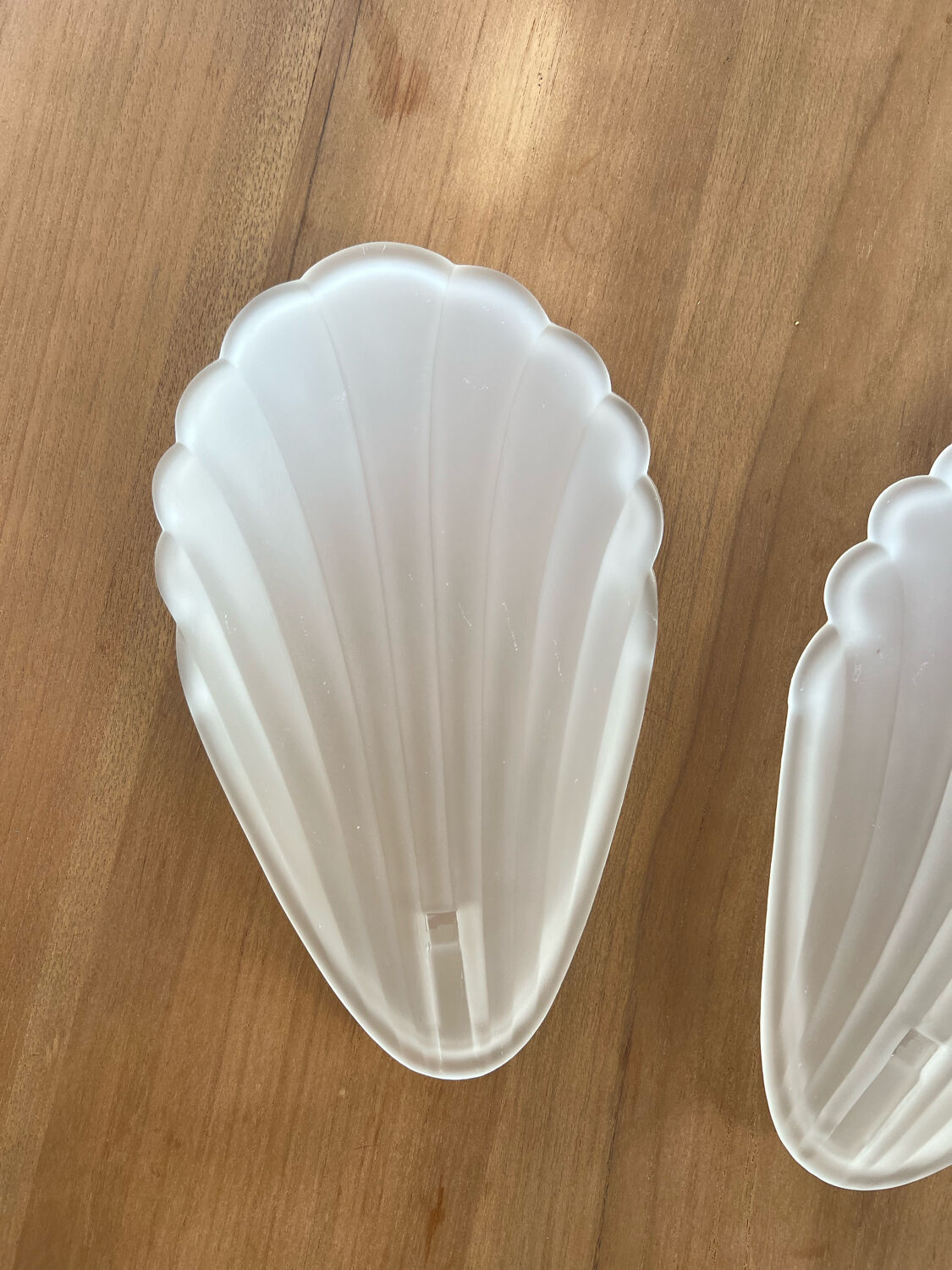 Pair of shell sconces