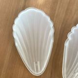 Pair of shell sconces