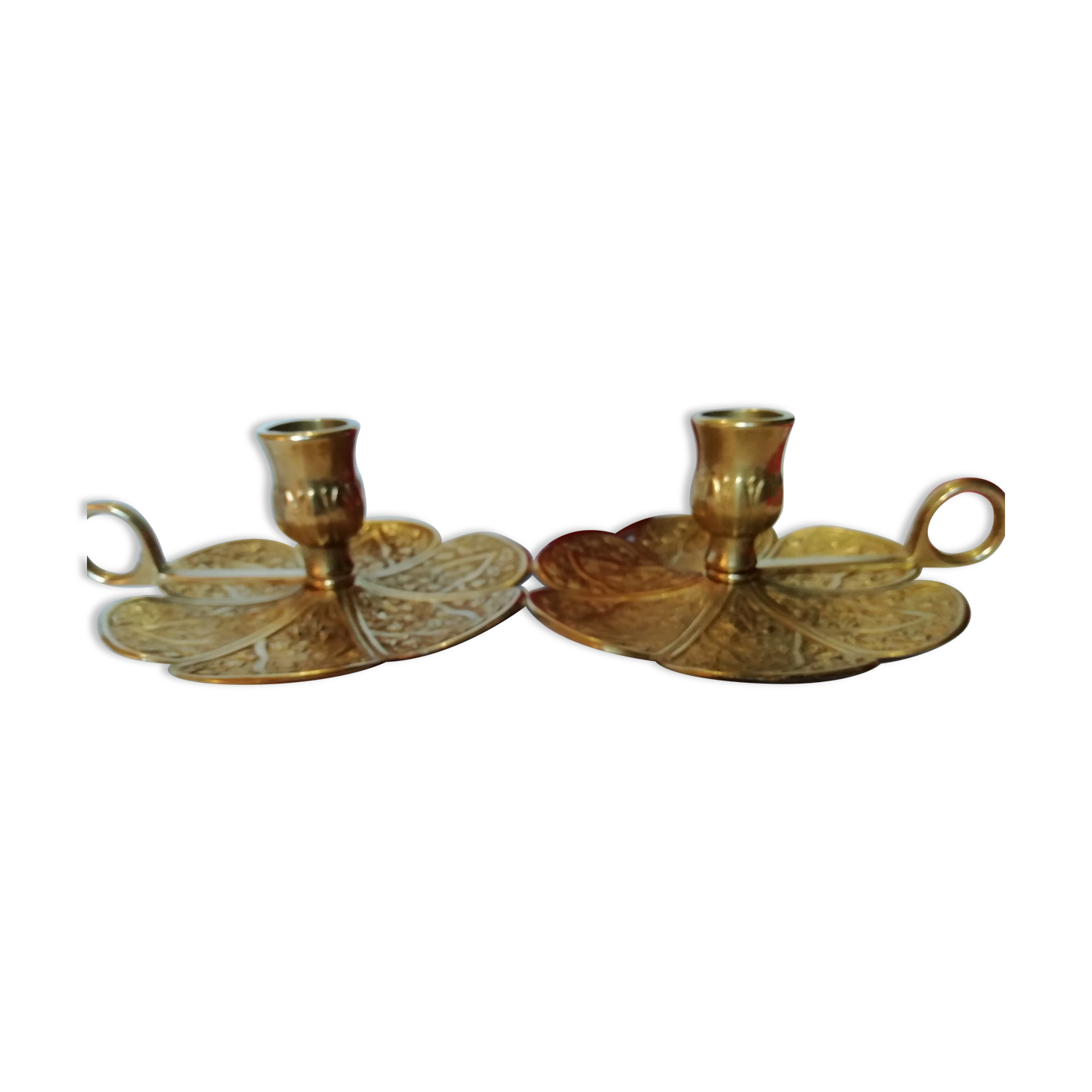 Pair of finely chiseled gilded bronze cellar rat with floral decoration, 19th