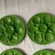 Oyster plates in slipware
