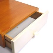 Tiroir de cabinet vintage Pastoe de Cees Braakman japonais