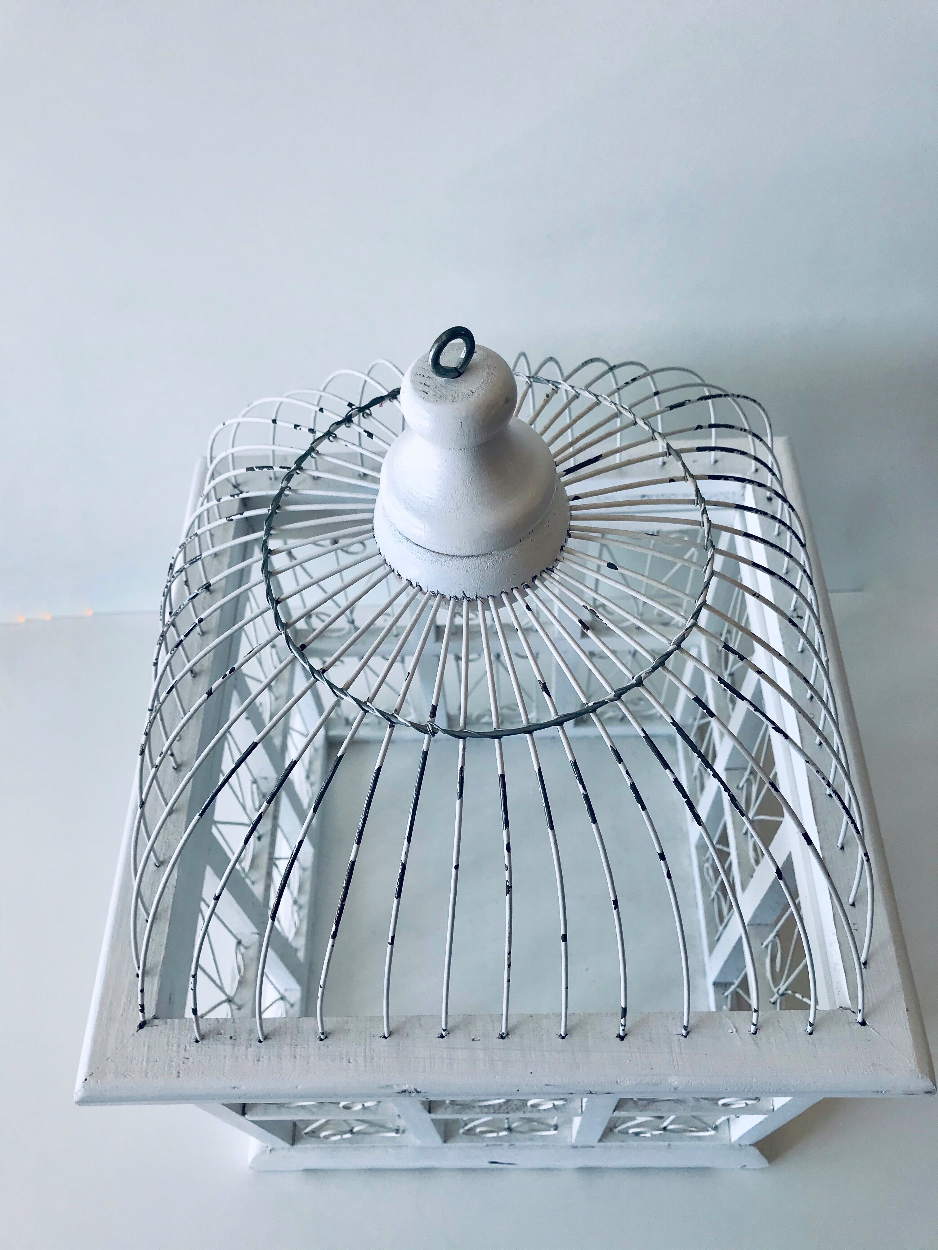 Cage à oiseaux blanche
