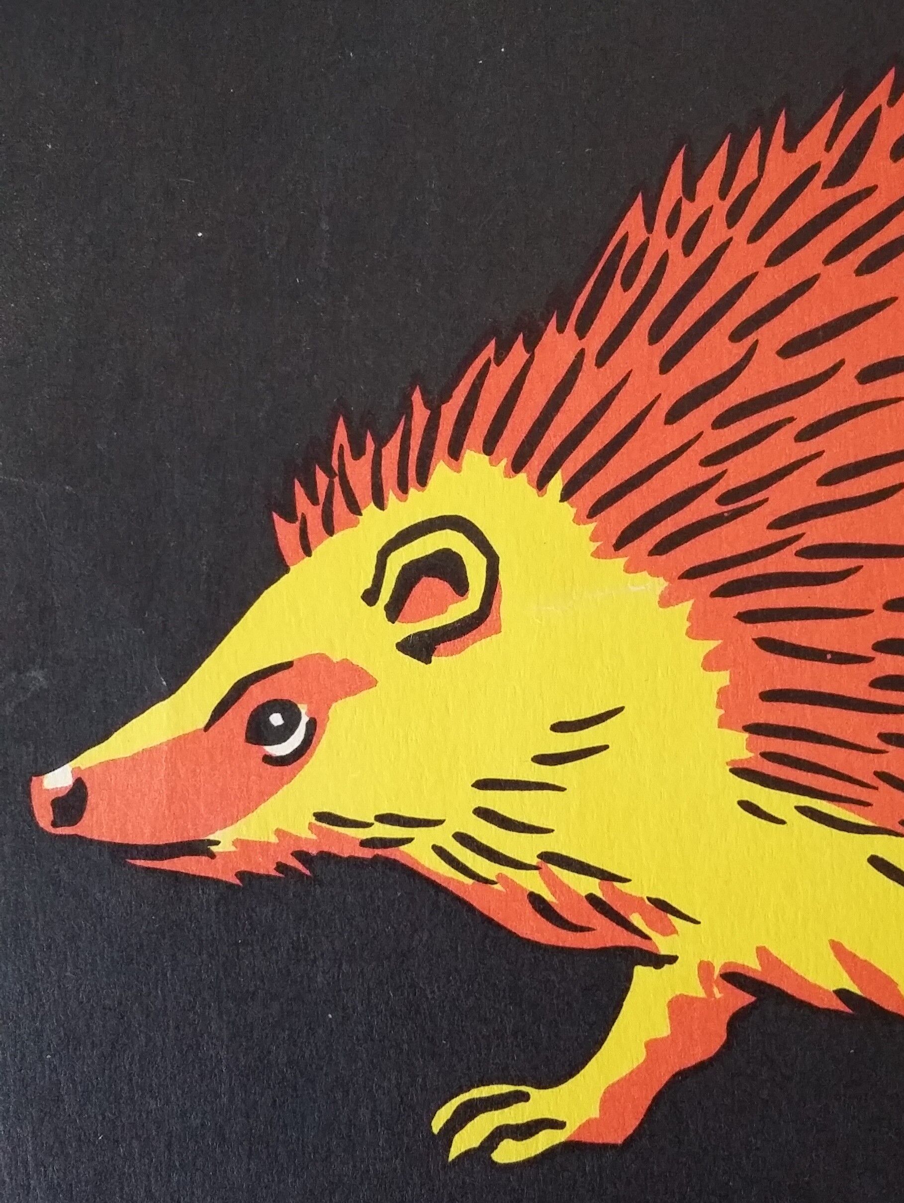 The hedgehog, reading image