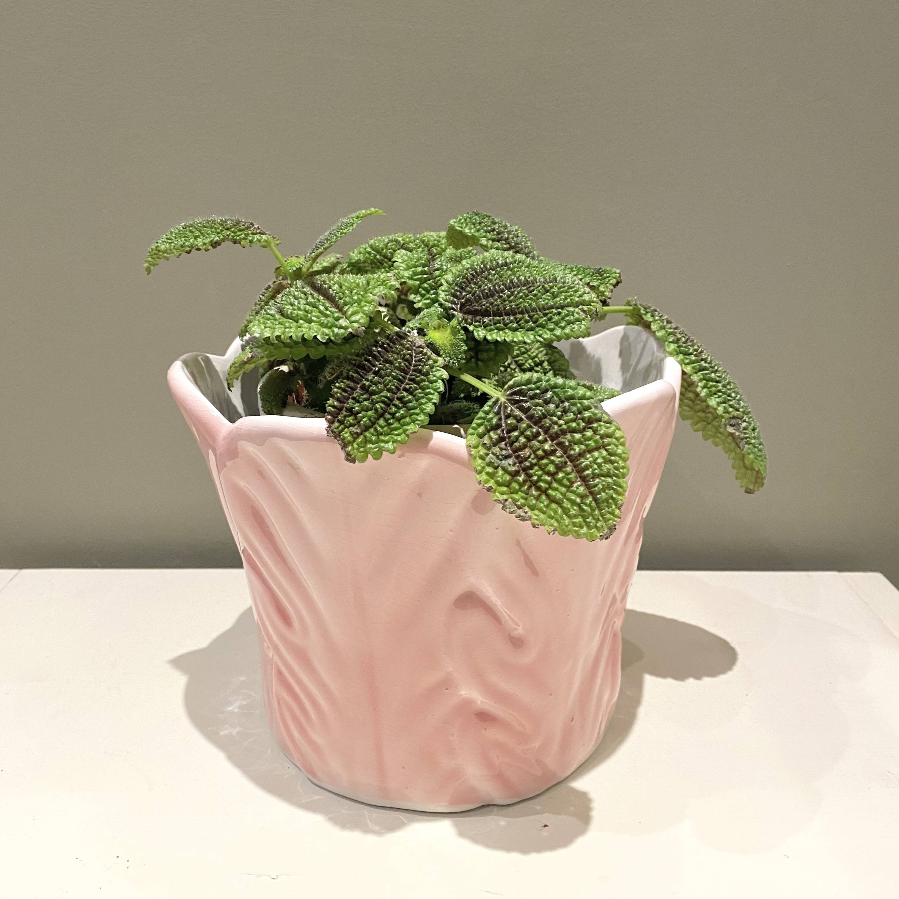 Slip planter