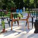 Pair of "Western" chairs, saloon, vintage, 50