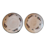 Set of 2 Villeroy & Boch mettlach 1562 bowl plates