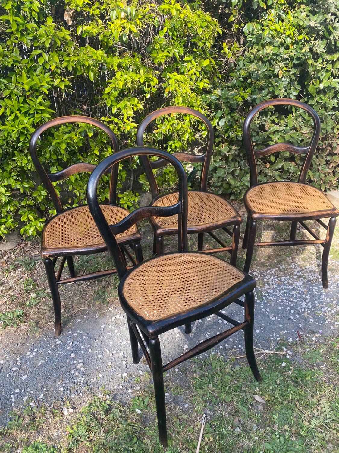 4 Napoleon III blackened wooden chairs