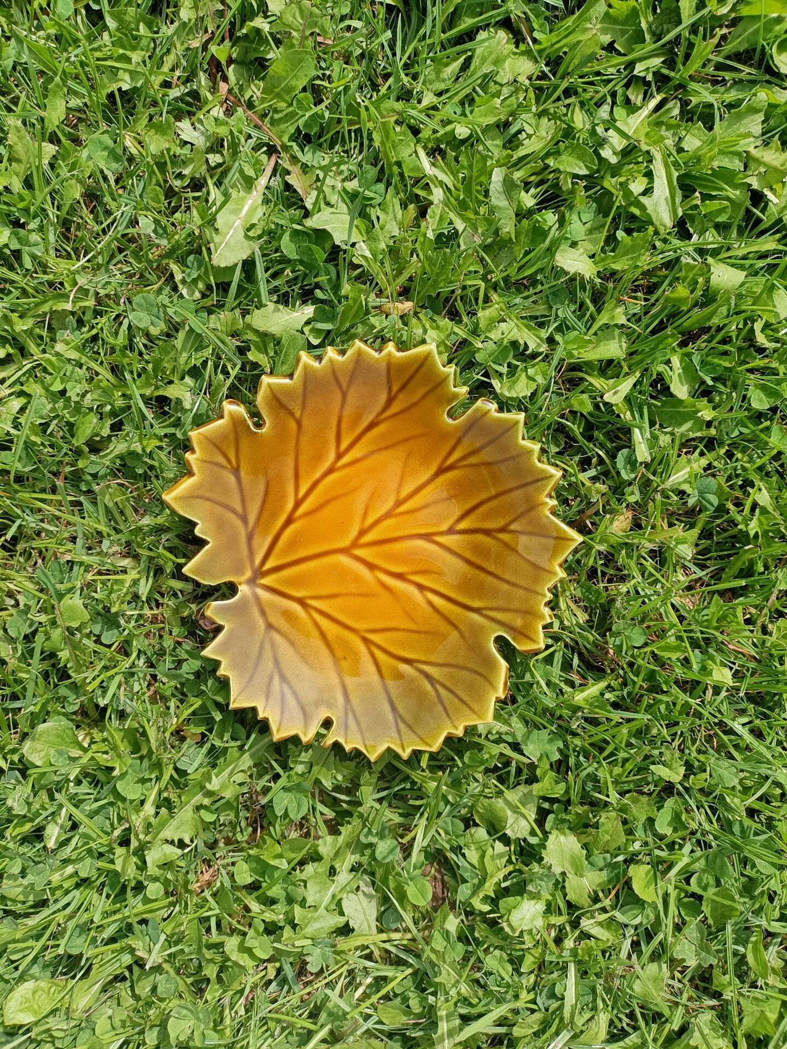 Vide poche Feuille Automne