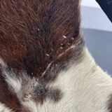 Mid-century swivel balloon armchair from Lusch & Co 1960s