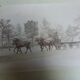 Old photograph from 1900 of a carriage, coachman, and horses.