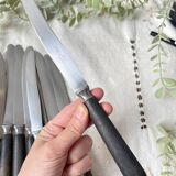 10 Vintage knives in wood and steel LA ROSE, silver medal, France