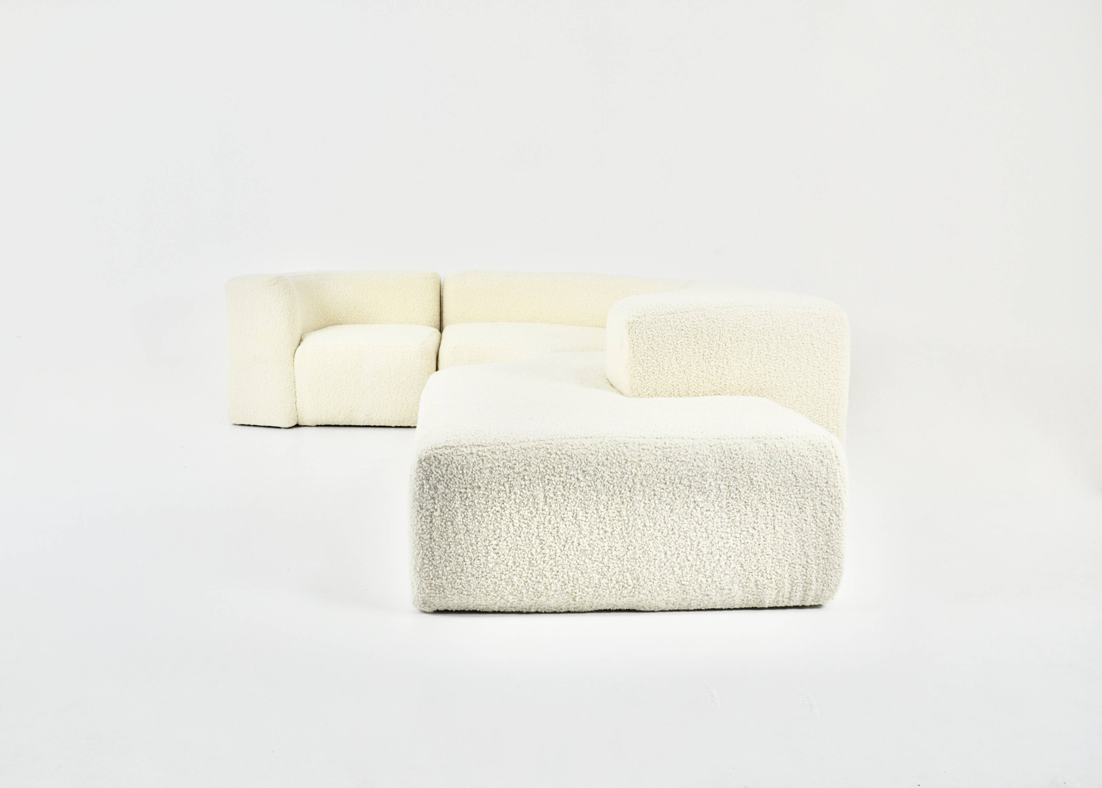 Roberto Pamio Style Sofa, Noti Massari and Renato Toso for Stilwood, 1960s