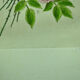 Pair of ancient lithographs of signed floral engravings to be identified