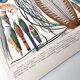 Old lithograph plate birds feathers 1900