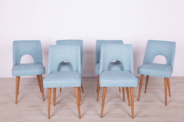 Chaises en coquillage polonaises de l'usine de meubles de Bydgoszcz, années 1960, lot de 6