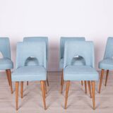 Polish Shell Chairs from Bydgoszcz Furniture Factory, 1960s, Set of 6