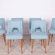 Chaises en coquillage polonaises de l'usine de meubles de Bydgoszcz, années 1960, lot de 6