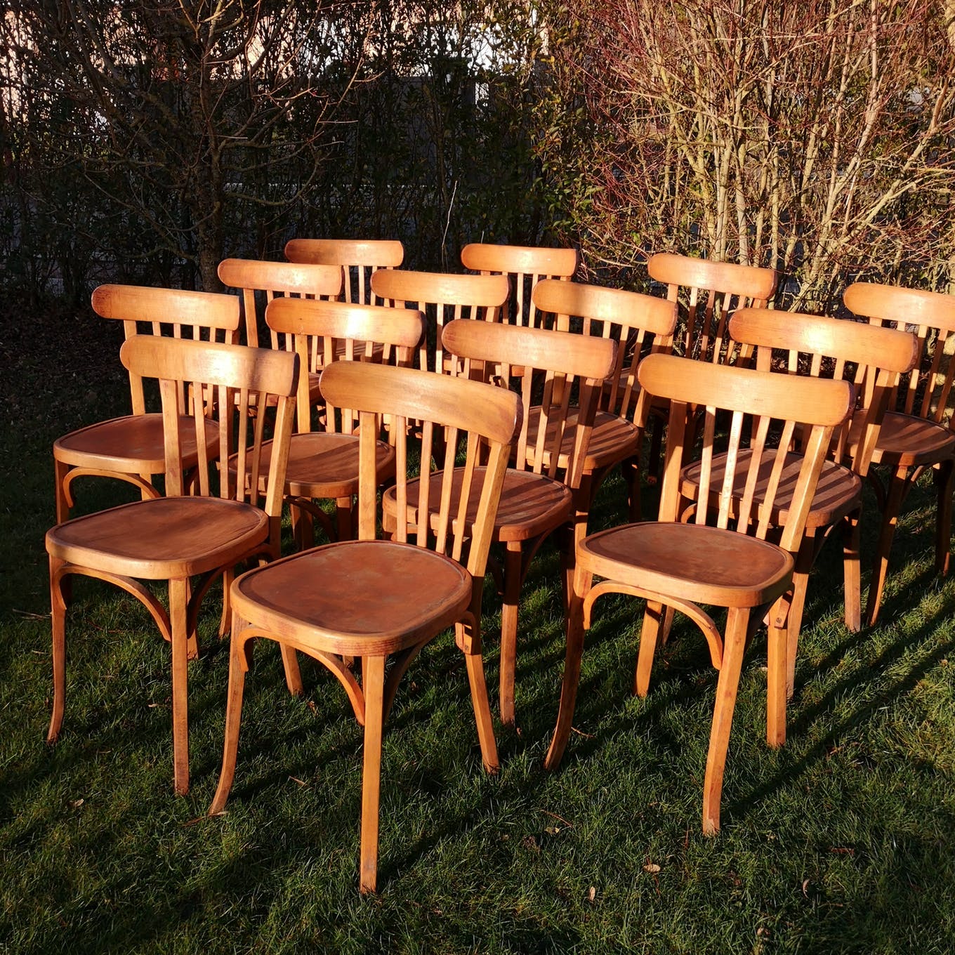 Set of 8 chairs Bistro Baumann