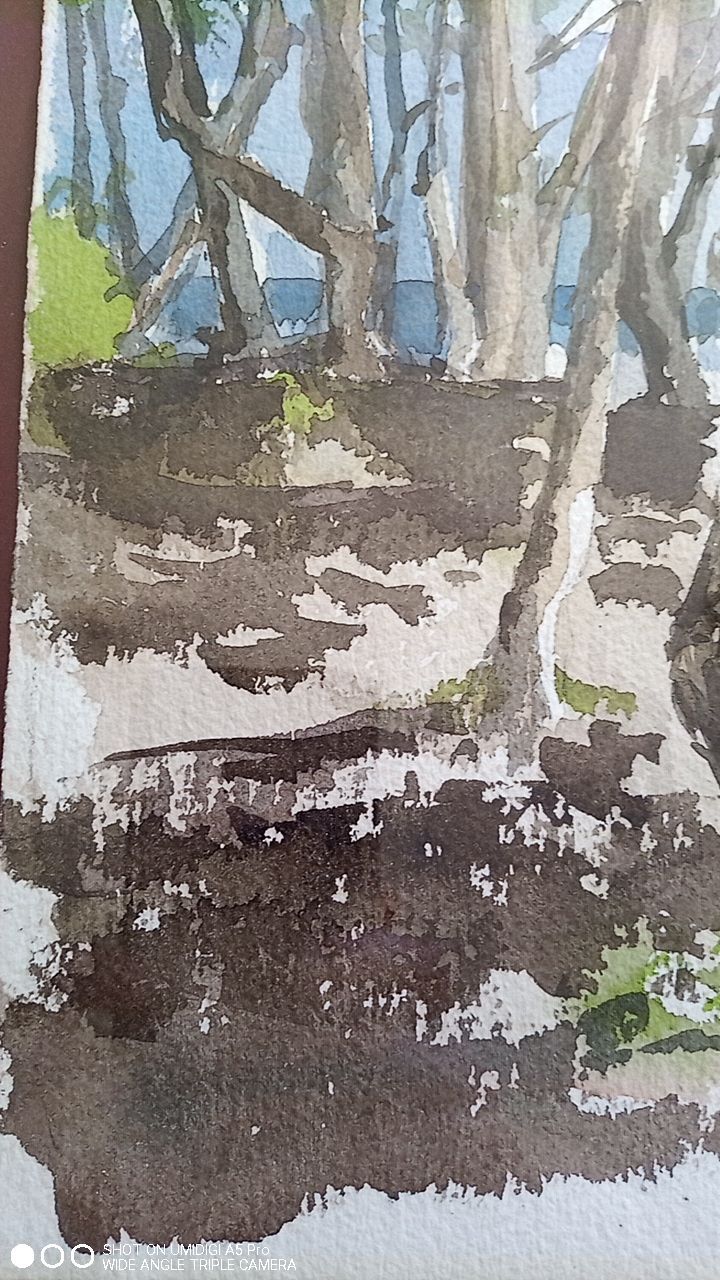 Pascale Rigat-Esselin (born 1952) - Watercolor - 35,5 x 26 cm - undergrowth, signed