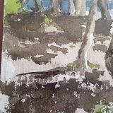 Pascale Rigat-Esselin (born 1952) - Watercolor - 35,5 x 26 cm - undergrowth, signed