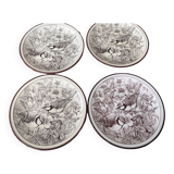 Pavesi plates
