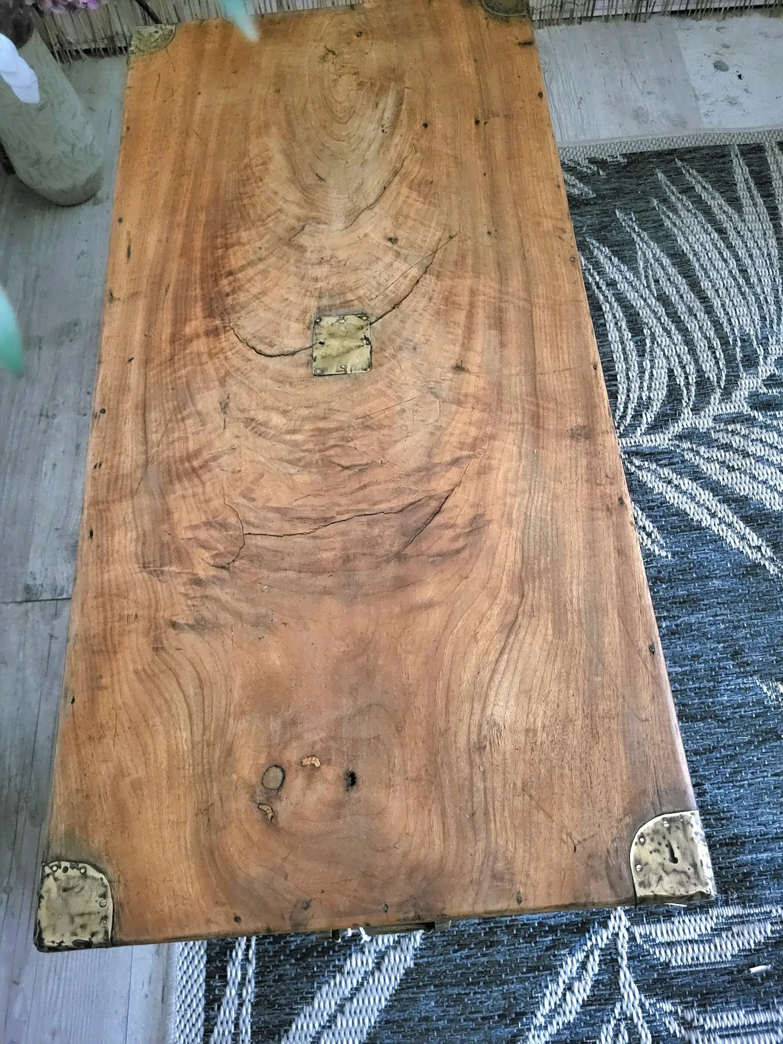 Old camphor wood trunk