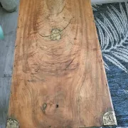 Old camphor wood trunk