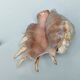 Large pink shell - Large Lambis - Strombidae - Lambis Truncata with 7 digitizations
