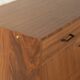 Classic shoe cabinet from the 1960s, walnut veneer, four drop-down doors, two drawers