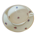 Royal Ivory Bohemia porcelain cups and saucers