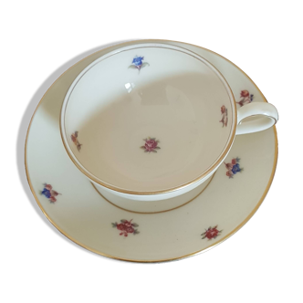 Royal Ivory Bohemia porcelain cups and saucers
