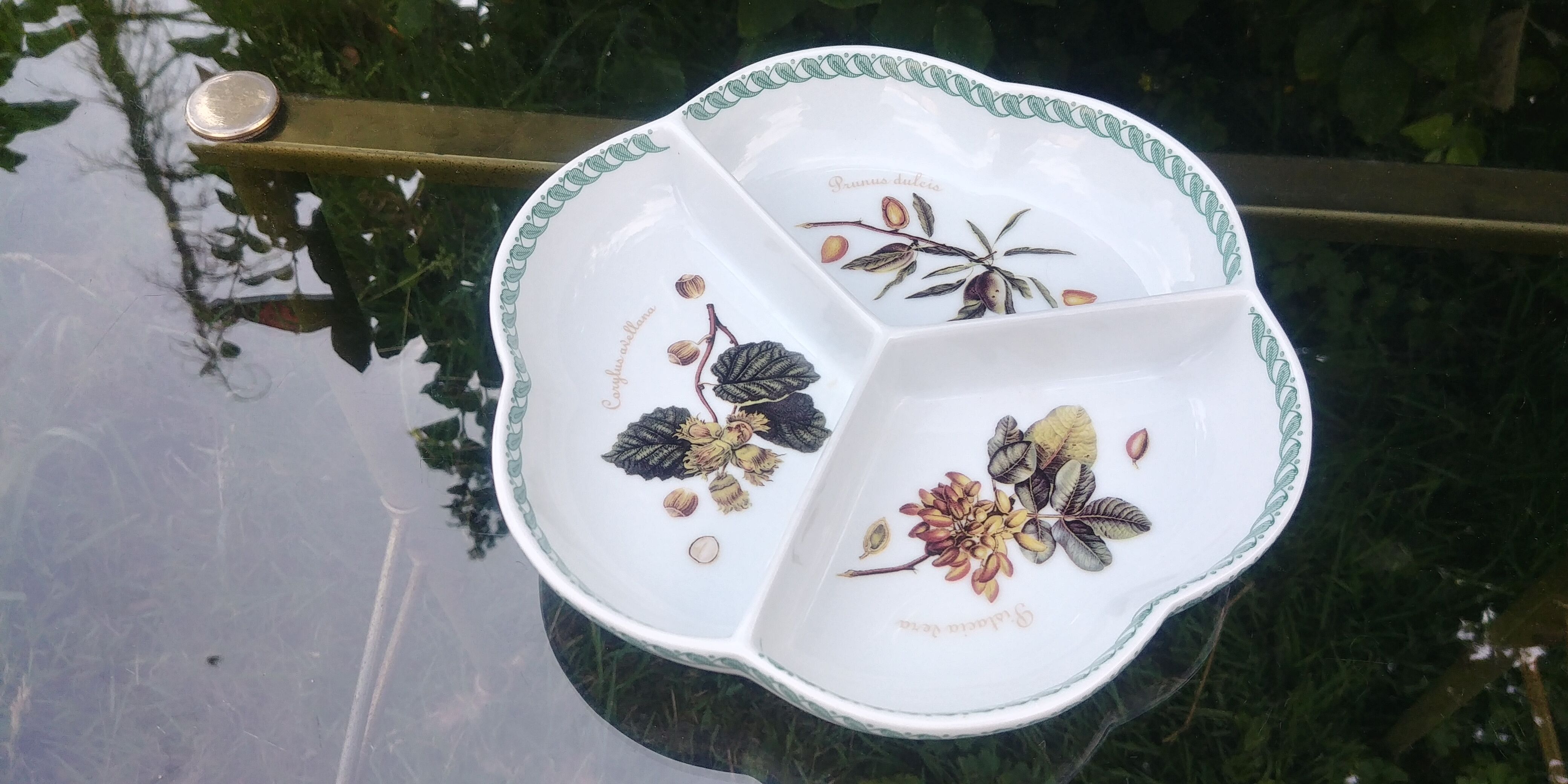 Ramequin with porcelain aperitif from the brand Tognana