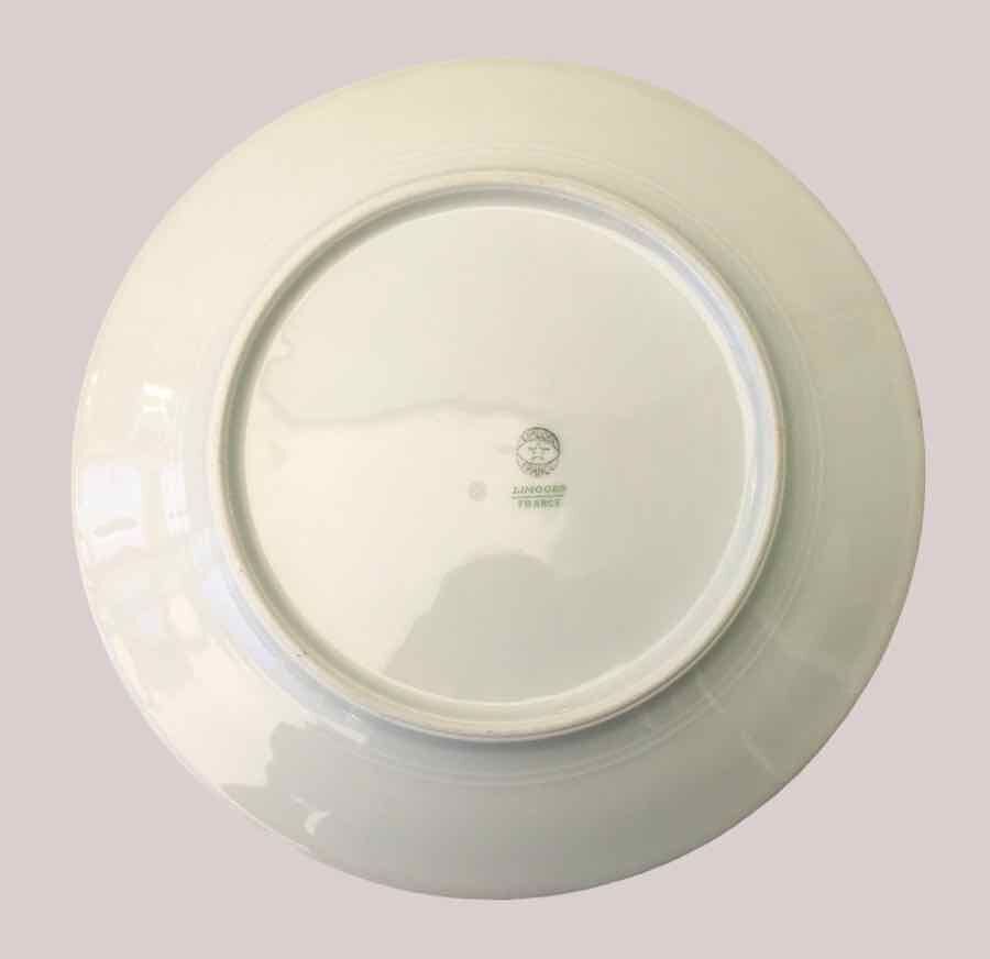 Set of 12 flat plates flowered porcelain