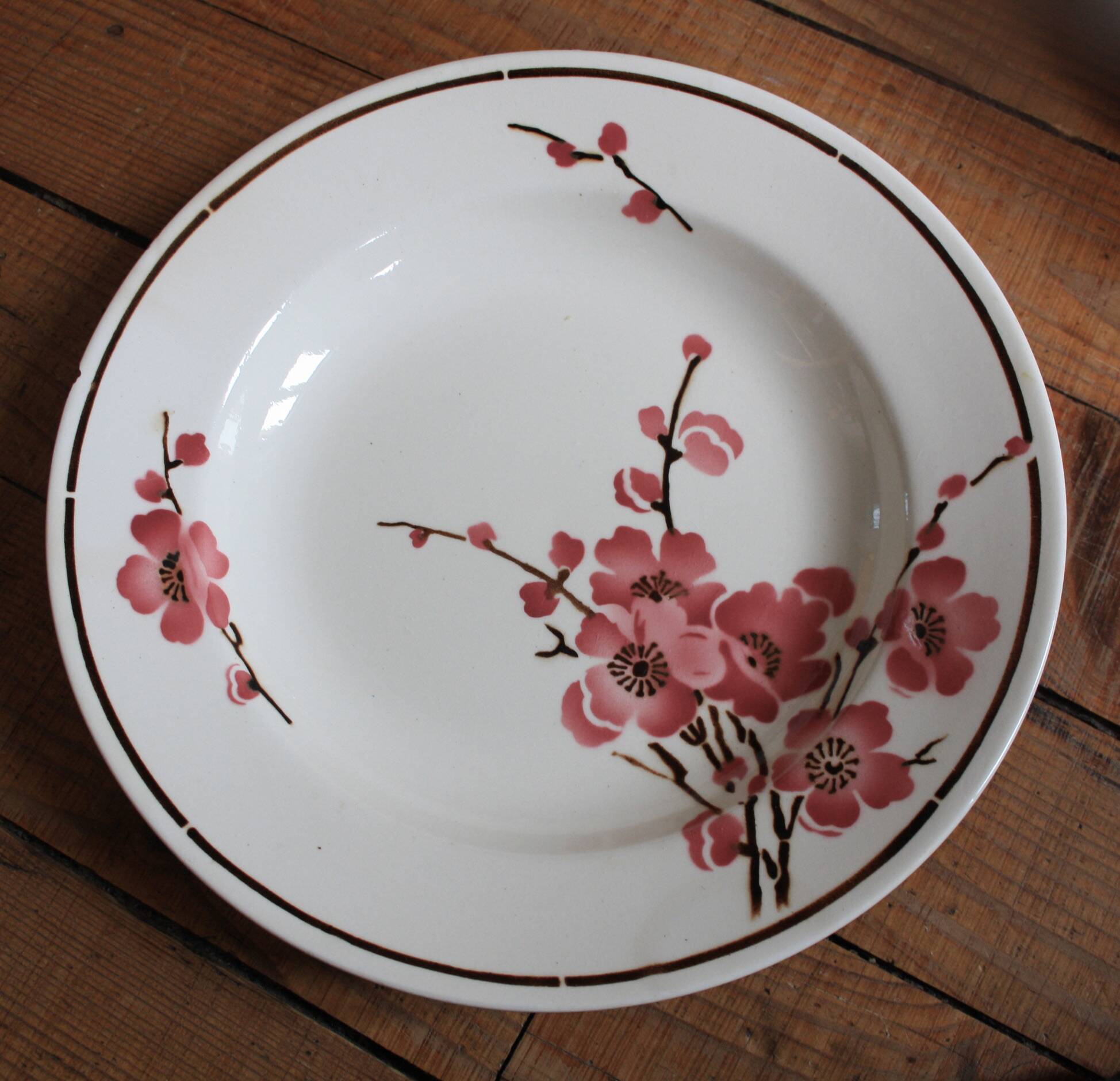 Set of 6 Terre de Fer St Amand "cherry" deep plates