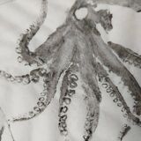 Original print of an octopus
