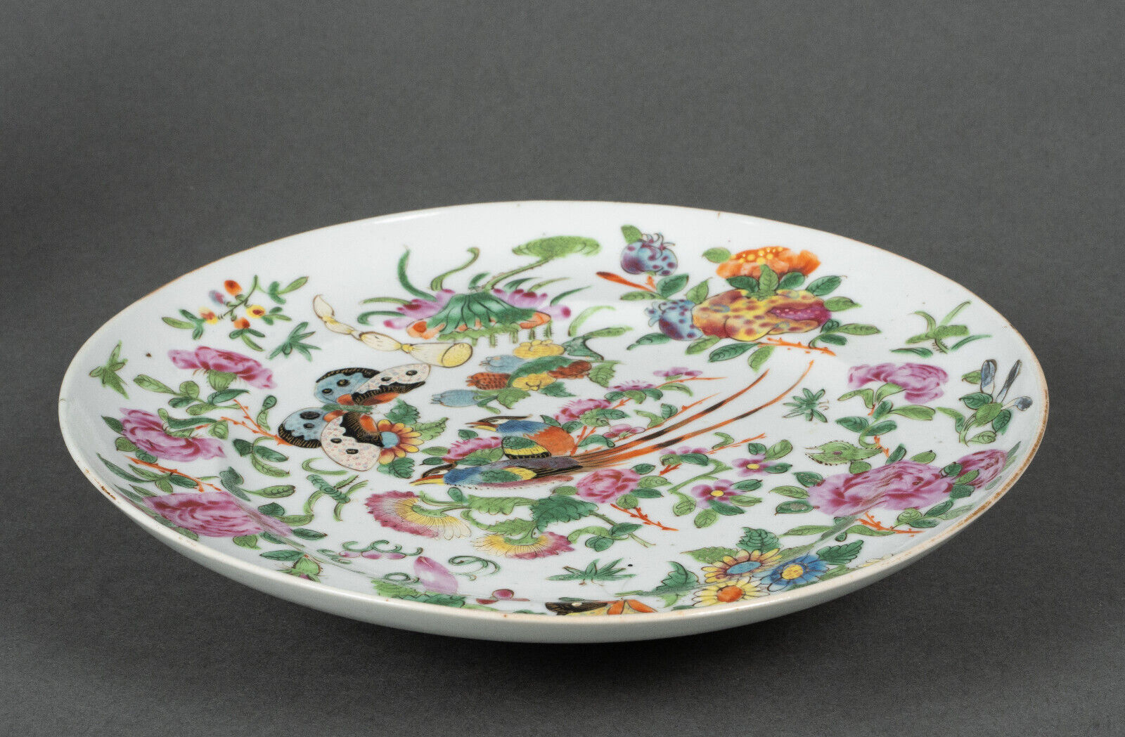 Porcelain plate of Canton XIXth decoration of butterflies and bird